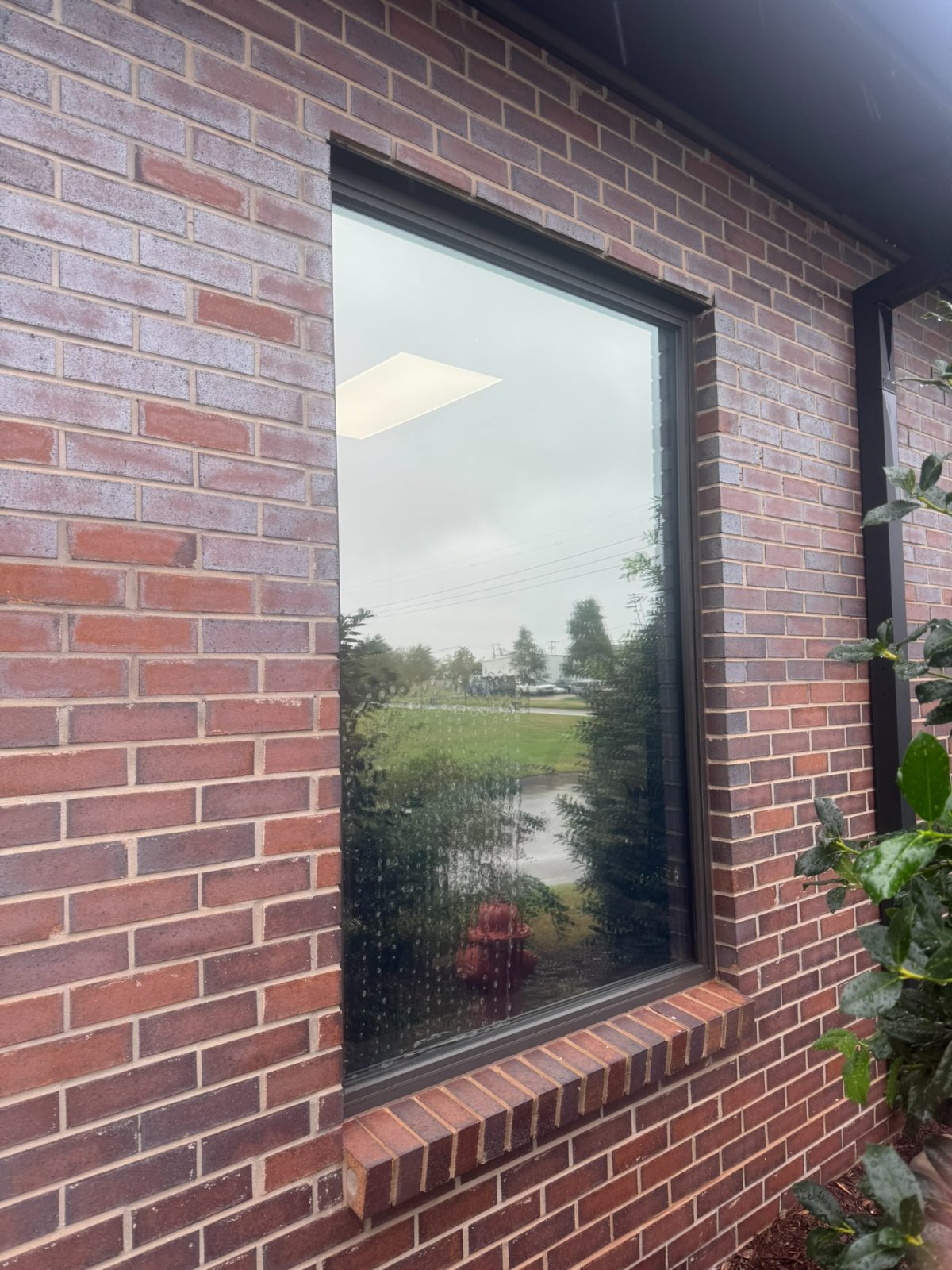 Privacy Window Film